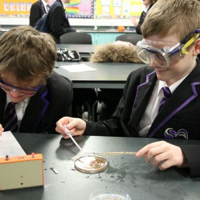 tsa_Year8Science (30)